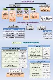 pin by somayah ameen on تجويد