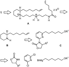 Image result for Oncinotis tenuiloba