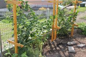 Das material zum selber bauen eines rankgitters. Individuelle Mobel Selber Bauen Garten Anpflanzen Garten Gartenprojekte