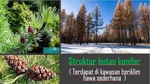 Maybe you would like to learn more about one of these? Blog Cgdeen Kuala Rompin Nota Ting 5 Tema 4 5 Tumbuh Tumbuhan Semula Jadi Dunia