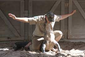 How to wrestle free from an alligator. Study Says Florida S Alligator Wrestling Attractions Are Harmful Miami New Times