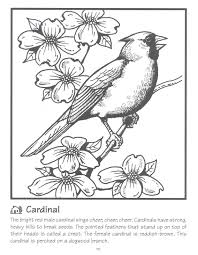 We have 10 free arizona cardinals vector logos, logo templates and icons. Coloring Pages Red Bird New Image Result For Red Cardinal Coloring Page Animal Coloring Pages Bee Coloring Pages Baseball Coloring Pages
