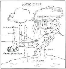 36 Simple Water Cycle Worksheet Ideas Https Bacamajalah Com 36 Simple Water Cycle Worksheet Ideas Water Cycle Water Cycle Worksheet Water Cycle Diagram