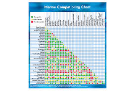 Anemone Compatibility Chart 2019