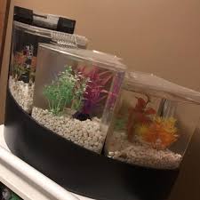 How do you set up a betta fish falls tank? Find More Betta Falls Tank For Sale At Up To 90 Off