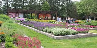 A perennial plant or simply perennial is a plant that lives more than two years. Us Il Dozens Of New Varieties At Darwin Perennials Day