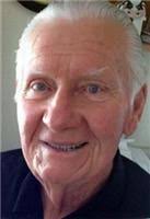 Joel Wiegert Obituary (1928