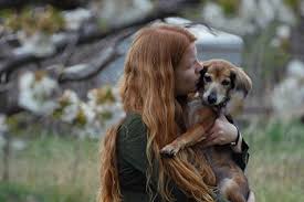 What happens when a dog is euthanized. Pet Euthanasia Best Friends Animal Society