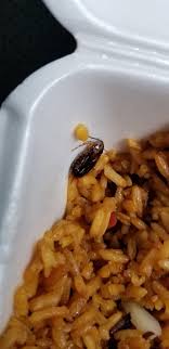 The owners of no.1 kitchen west end. No 1 Chinese Kitchen Mercerville Menu Prices Restaurant Reviews Order Online Food Delivery Tripadvisor