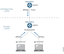 Each one is suitable for installing a get quality. Bpdu Protection For Spanning Tree Protocols Spanning Tree Protocols User Guide Juniper Networks Techlibrary