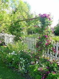 Notre Jardin Secret Rosier Grimpant Idees Jardin Arche Rosier