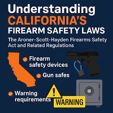 Image result for Gun Safety