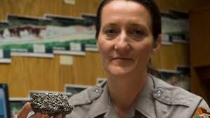 Gulf Islands to remove asphalt chunks, clean park