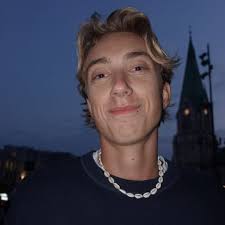 Hi. This piece of plastic came loose about a week ago, and I haven't dared  to open the roof until I had some expertise. I had a friend over to look at