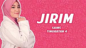 Spesies, populasi, komuniti, habitat dan ekosistem. Cikgu Nor Muttlib Bab 8