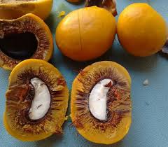 Amazing Benefits Of Pequi Fruit Health Fruit Digestive Health