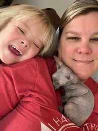 What is the best food for a Sphynx kitten?