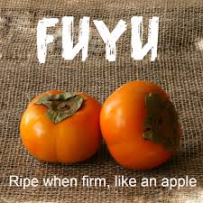 The persimmon /pərˈsɪmən/ is the edible fruit of a number of species of trees in the genus diospyros. Introducing 4 Persimmon Varieties Shockingly Delicious