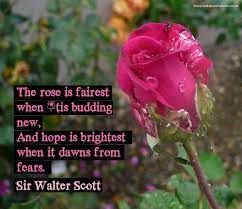 Pin On Famous Quotes