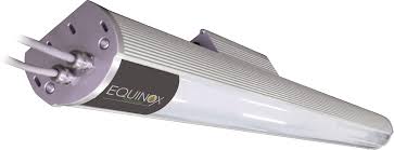 1 official description 2 background 3 physical appearance 4 personality 5 relationships 5.1 jimmy neutron 5.2 timmy turner 5.3 nick dean 5.4 libby folfax 5.5 brittany tenelli 5.6 carl wheezer and sheen estevez 5.7 her family 5.8 humphrey 5.9 betty. 1vision