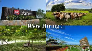 Uk farm agro resort, 居銮 （kluang）. Uk Farm Is Hiring Part Time Uk Farm Agro Resort Facebook