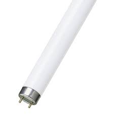 What's the energy rating of a t4 fluorescent tube? Fluorescent Tubes Ft T2 T4 T5 T5 Seamless T8 T12 Tl X Flameproof Circular T5 Circular T9 U Tube T8 Aquatic Fluorescent