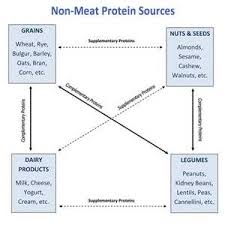 Complete Protein Combinations Chart Bing Images In 2019
