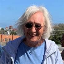 Karen Roach Obituary (2024)