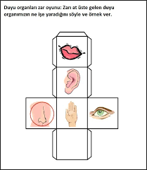 Okul Oncesi Duyu Organlari Etkinligi Duyu Organlari Faaliyetleri Duyu Organlari Grup Calismasi Duyu Organlari Proje Etkinlig 5 Duyu Okuloncesi Okul Okul Oncesi