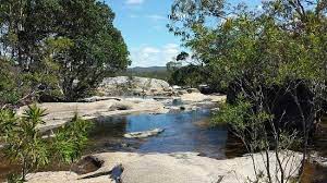 Albert and logan news » established in 1878, at a time when the local economy was based on cotton and sugar cane. Mareeba Photos Featured Pictures Of Mareeba Queensland Tripadvisor