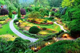 Vancouver island is the largest island on the west coast of north america (corel professional (cowichan), vancouver island as it appeared in 1861. 15 Top Rated Attractions Things To Do On Vancouver Island Planetware