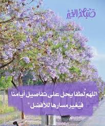 pin by aseel on صباح مساء beautiful morning messages good morning images morning images