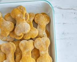 pumpkin cookies for dogsの画像