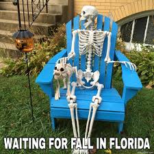 Waiting For Fall In Florida Skeleton Meme Memezila Com