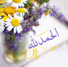 Desertrose اللهم صل وسلم وبارك على نبينا وسيدنا وحبيبنا محمد محمدﷺ عليه أفضل الصلاة والسلام Islamic Posters Islamic Pictures Alhamdulillah