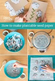 Work quickly so seeds do not absorb water. Repurpose Boxes To Make Your Own Seed Paper In 2020 Crafts For Kids Fun Crafts Diy Crafts To Sell