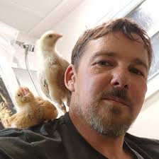 This no-bake Vegan Chocolate Tart is a decadent dessert made with only 5  ingredients! An easy cookie crust is filled with silky-smooth chocolate  ganache, then is ready to slice and serve after