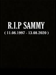Sammy long stats, fantasy & news. Sammy Baker Home Facebook