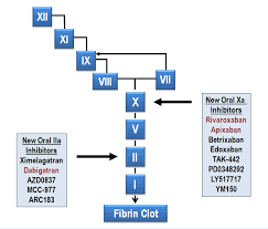 Click here to get presentation. Oral Anticoagulation With Factor Xa And Thrombin Inhibitors Is There An Alternative To Warfarin Jennifer Zikria Discovery Medicine