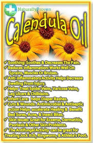 Calendula Carrier Oil Calendula Oil Benefits Calendula Oil Essential Oils