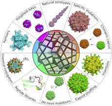 Image result for Blue 1999 AAV