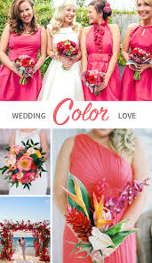 Wedding bouquet tropical bouquet hawaiian bouquet protea orchids monstera. Why You Should Choose Colorful Wedding Flowers
