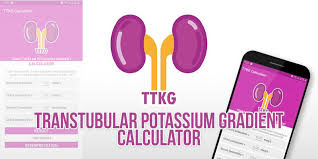 Image result for Transtubular Potassium Gradient
