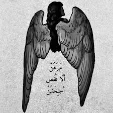 مهرهن ألا تقصن أجنحتهن In 2021 Nature Iphone Wallpaper Book Quotes Arabic Love Quotes