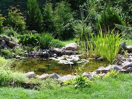 Gardenpond Garden Pond In 2020 Pond Landscaping Garden Pond Design Ponds Backyard