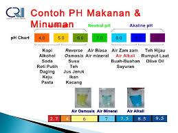 Baik untuk kesehatan inilah kandungan air zam zam di mekah. Presentasi Stikalkali