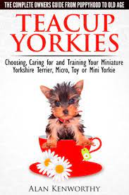 teacup yorkies the complete owners guide choosing caring for and training your miniature yorkshire terrier micro toy or mini yorkie from puppyhood to old age ebook von alan kenworthy 9781311289087