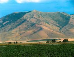 Donald Vern Knopp Obituary (2025)