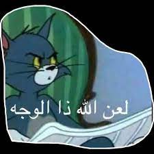 pin by fafe s2 on ريكشنات dora funny funny picture jokes funny picture quotes