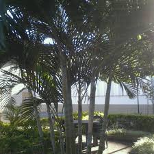 Apr 20, 2021 · kspg automotive brazil ltda. Photos At Kspg Automotive Brazil Ltda Divisao Ks Kolbenschmidt 5 Tips